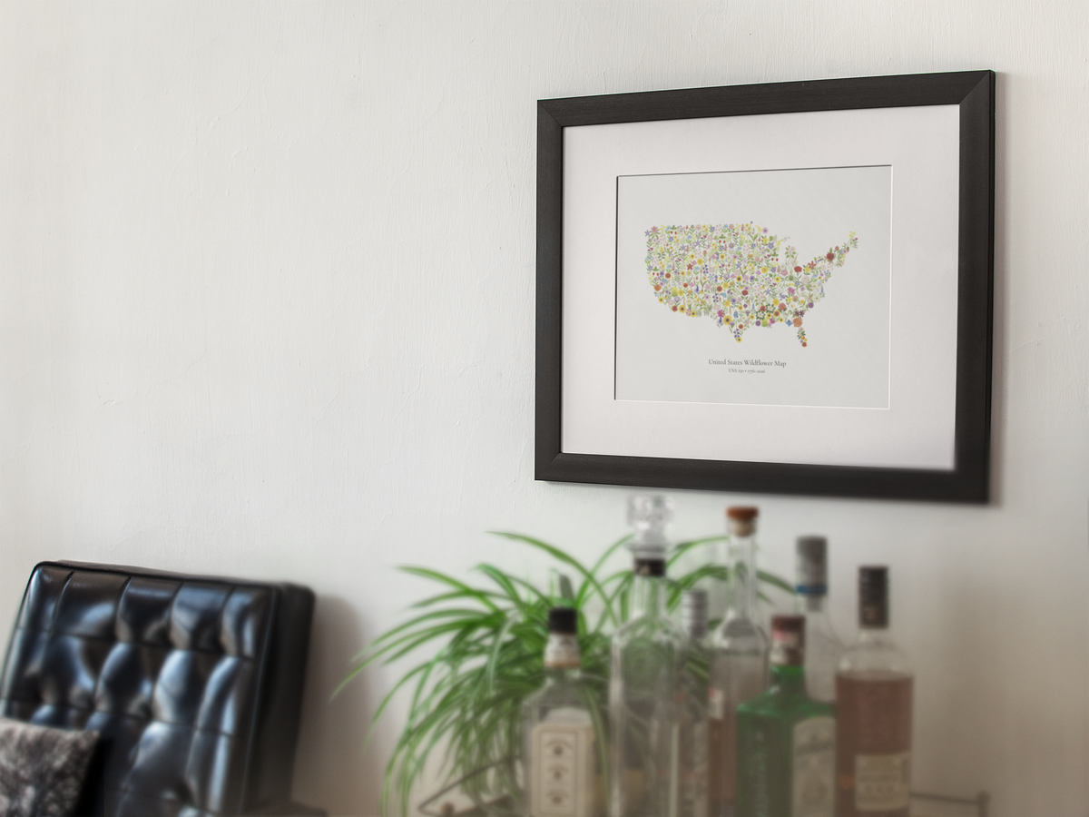 USA Wildflower Map – 250th Anniversary Edition