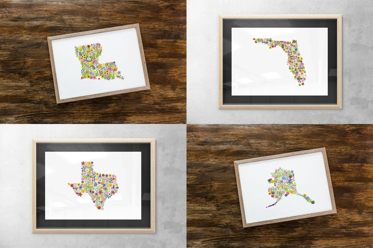 US States