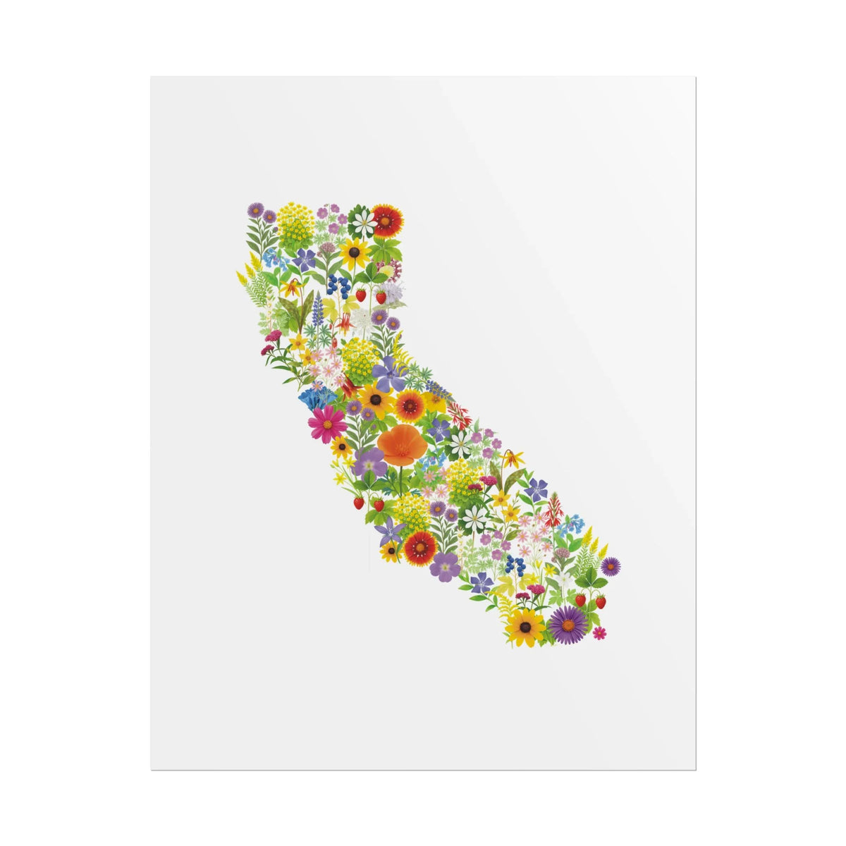 California Wildflower Map