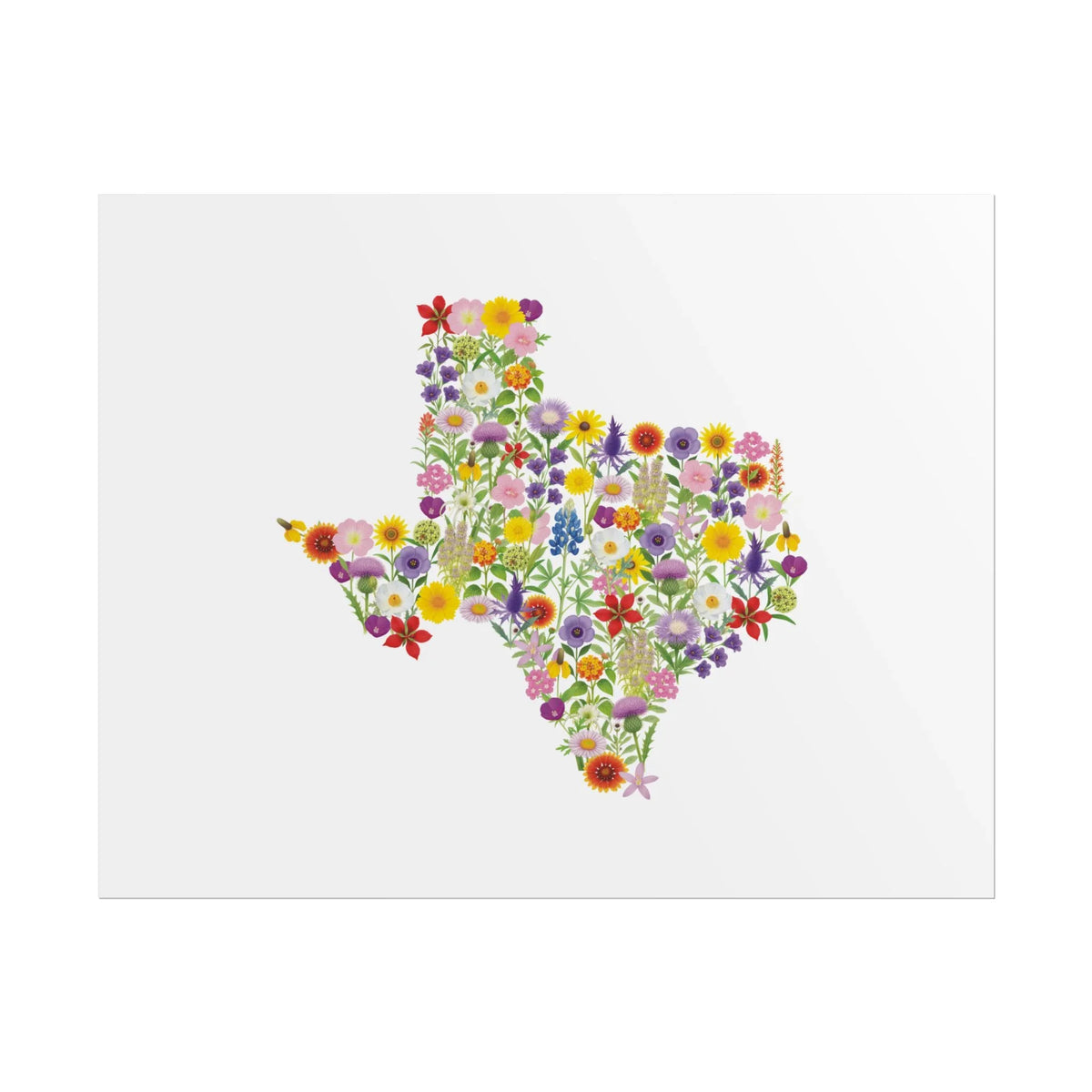 Texas Wildflower Map
