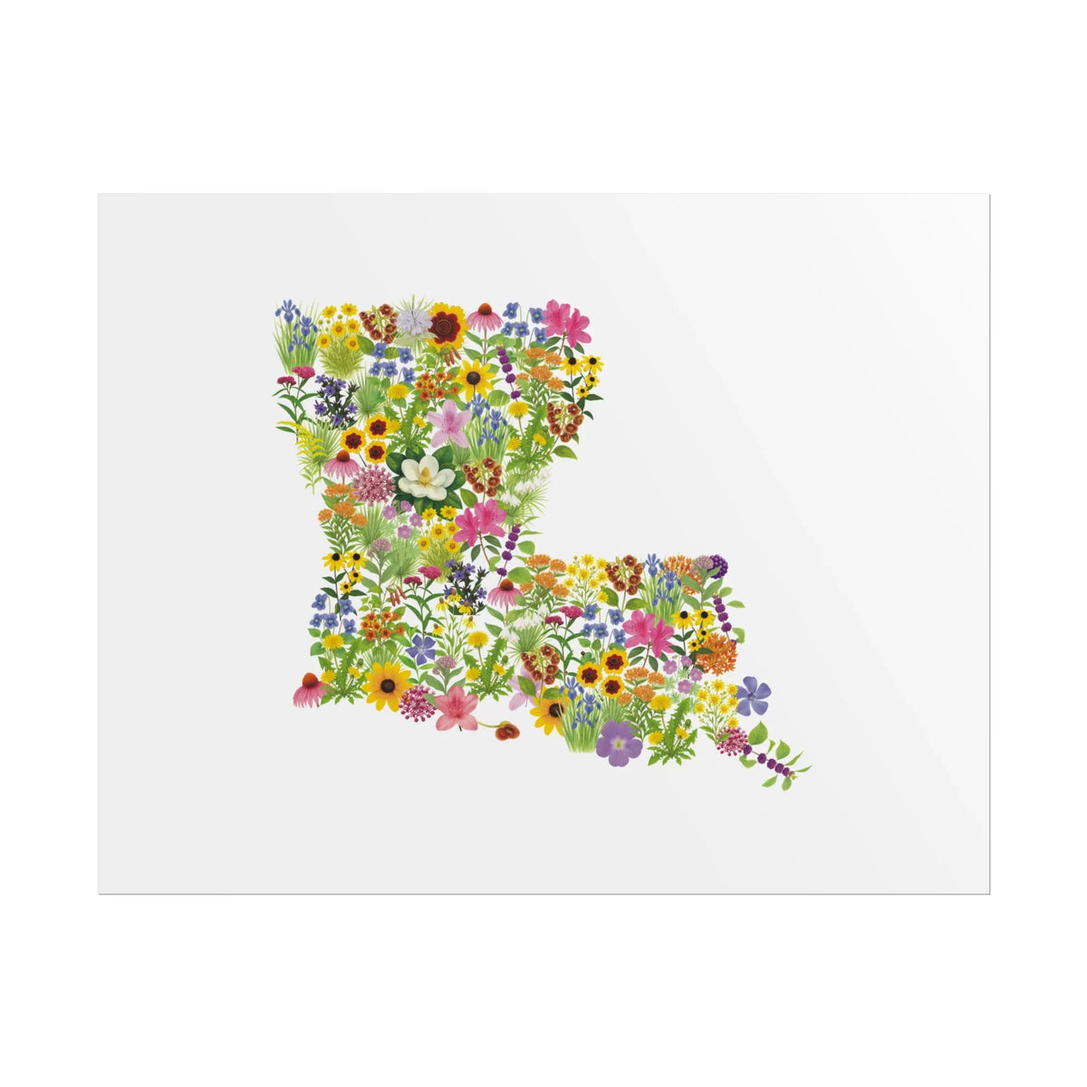 Louisiana Wildflower Map