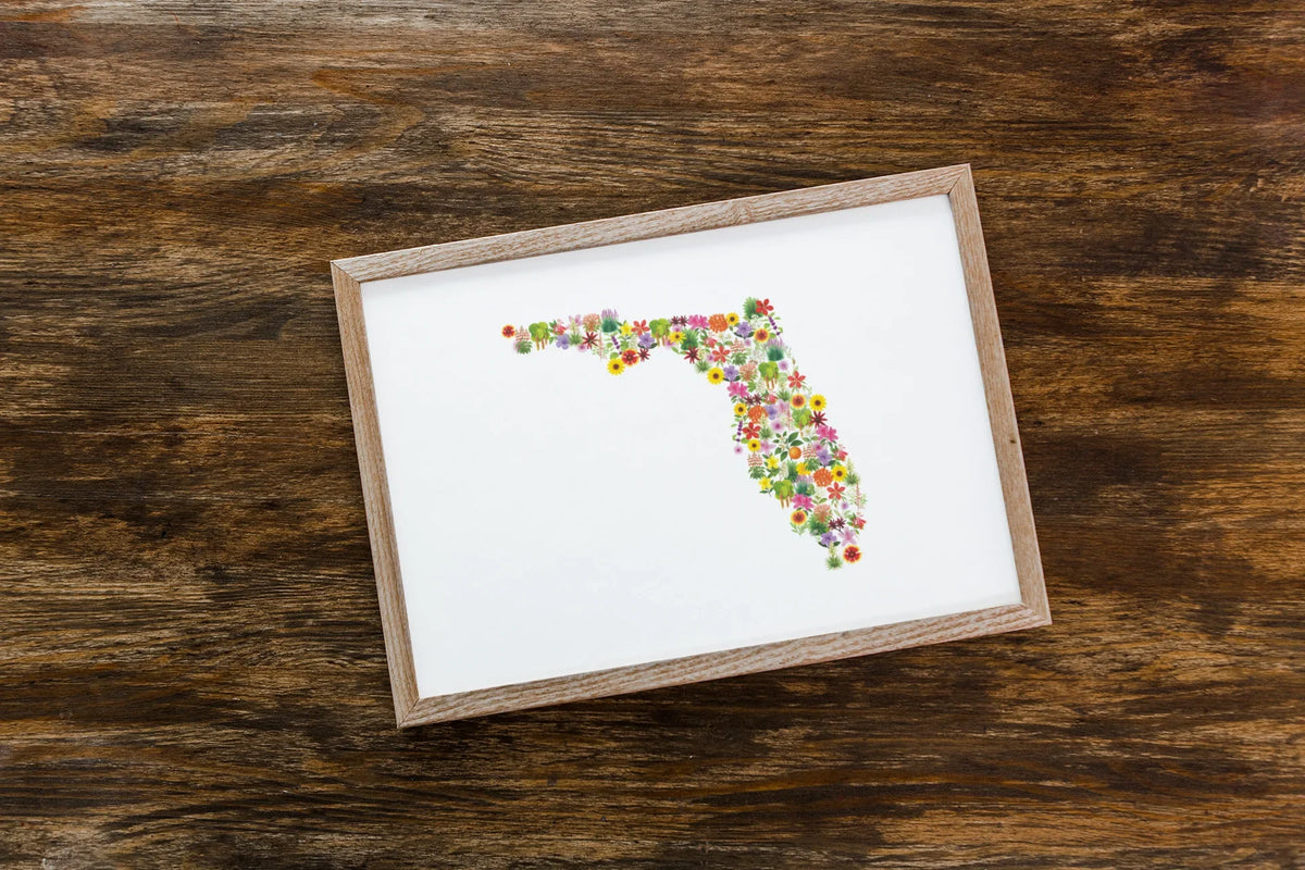 Florida Wildflower Map