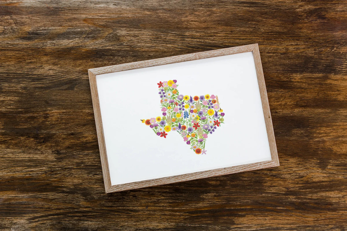 Texas Wildflower Map