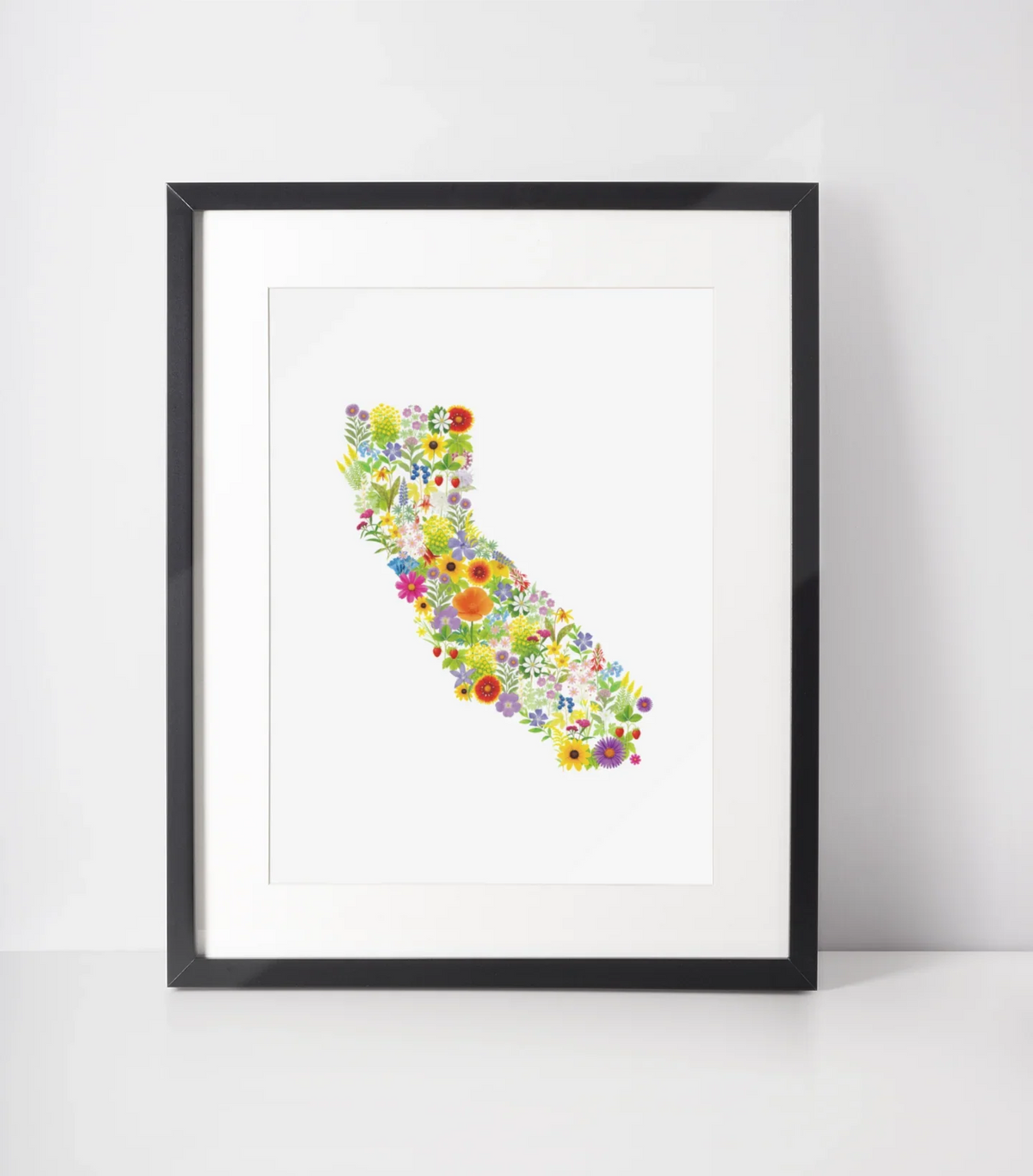 California Wildflower Map