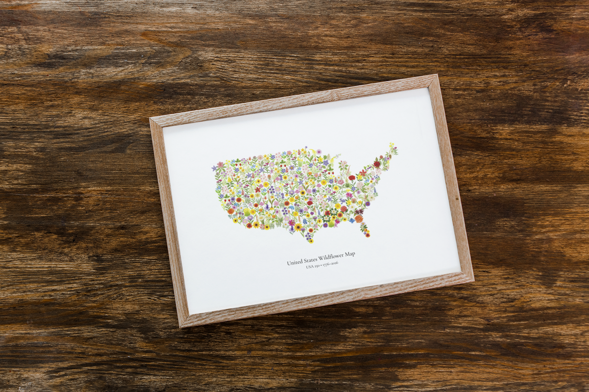 USA Wildflower Map – 250th Anniversary Edition