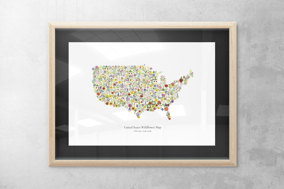 USA Wildflower Map – 250th Anniversary Edition
