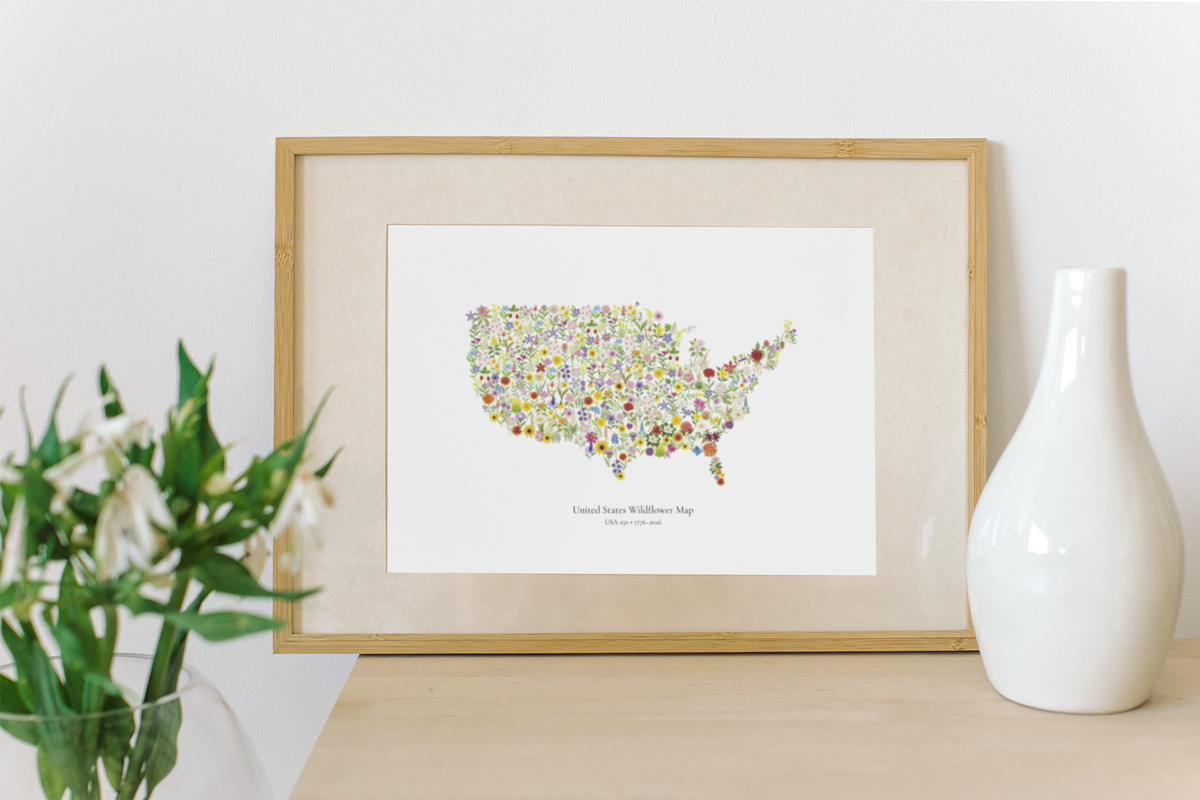 USA Wildflower Map – 250th Anniversary Edition