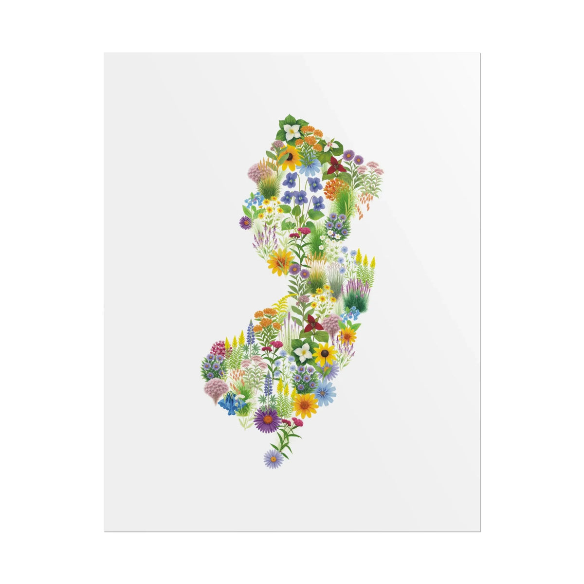 New Jersey Wildflower Map