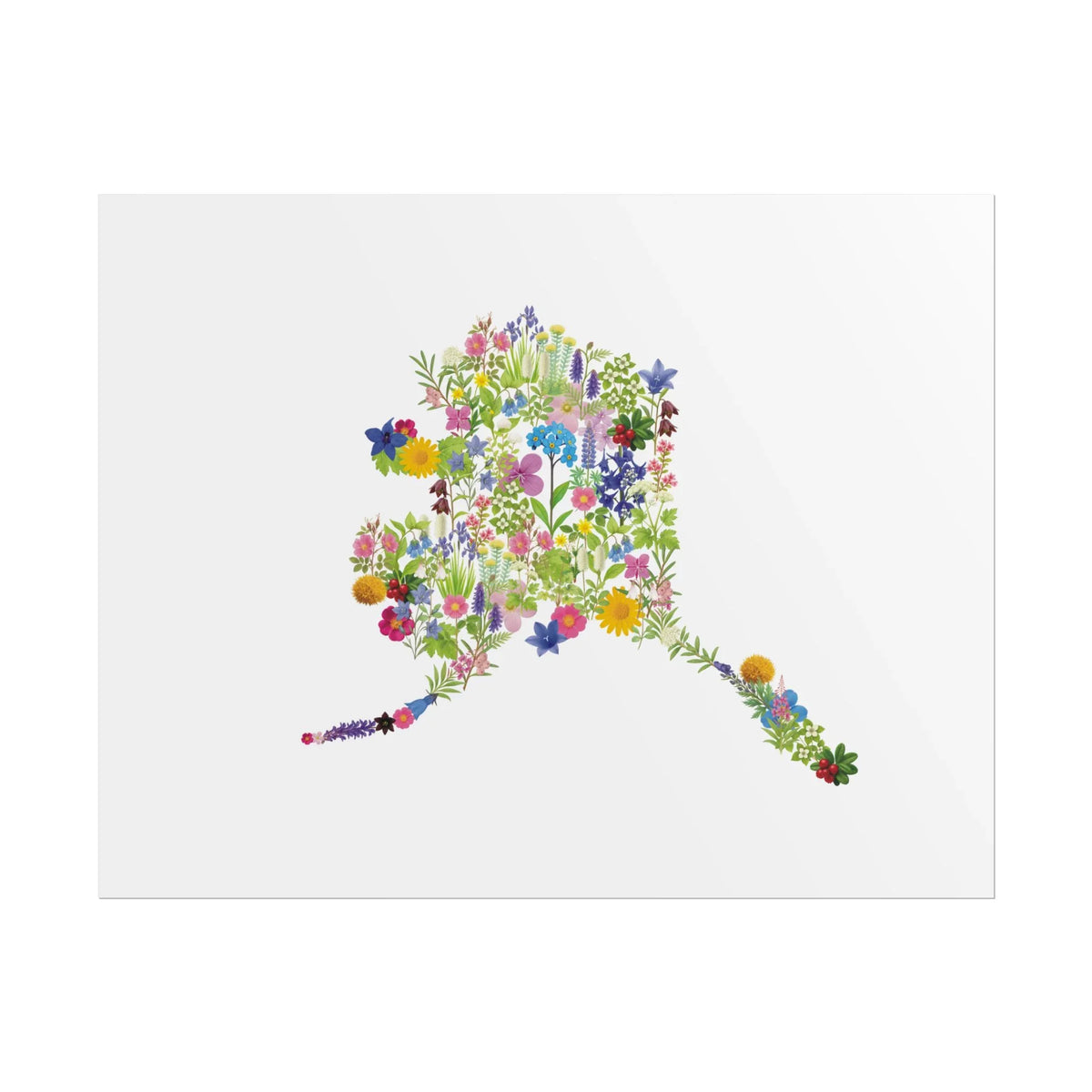 Alaska Wildflower Map