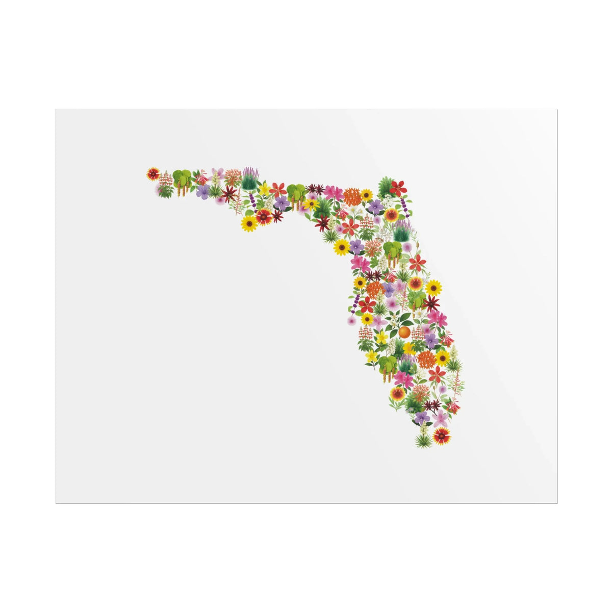 Florida Wildflower Map