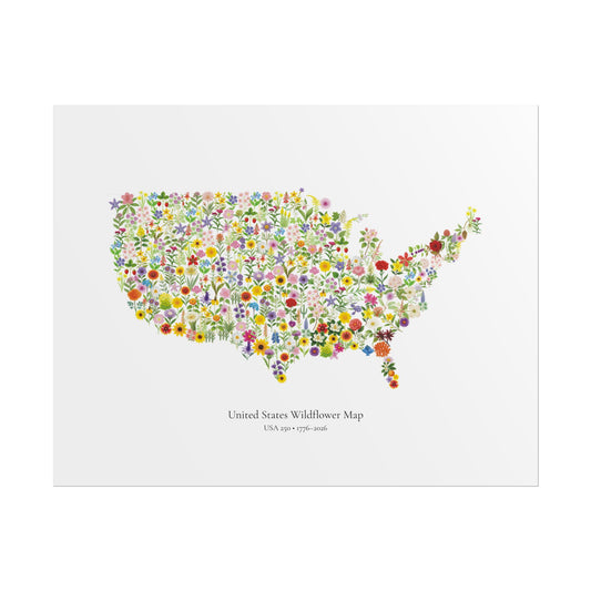 USA Wildflower Map – 250th Anniversary Edition