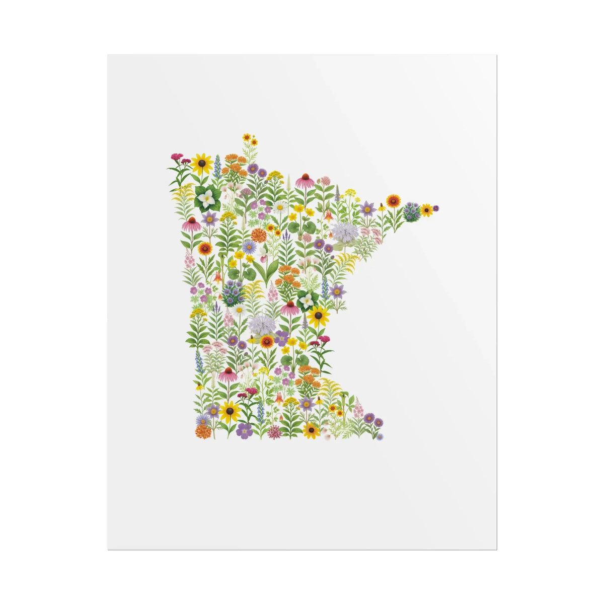 Minnesota Wildflower Map