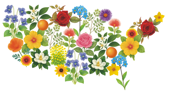 US Wildflower Maps