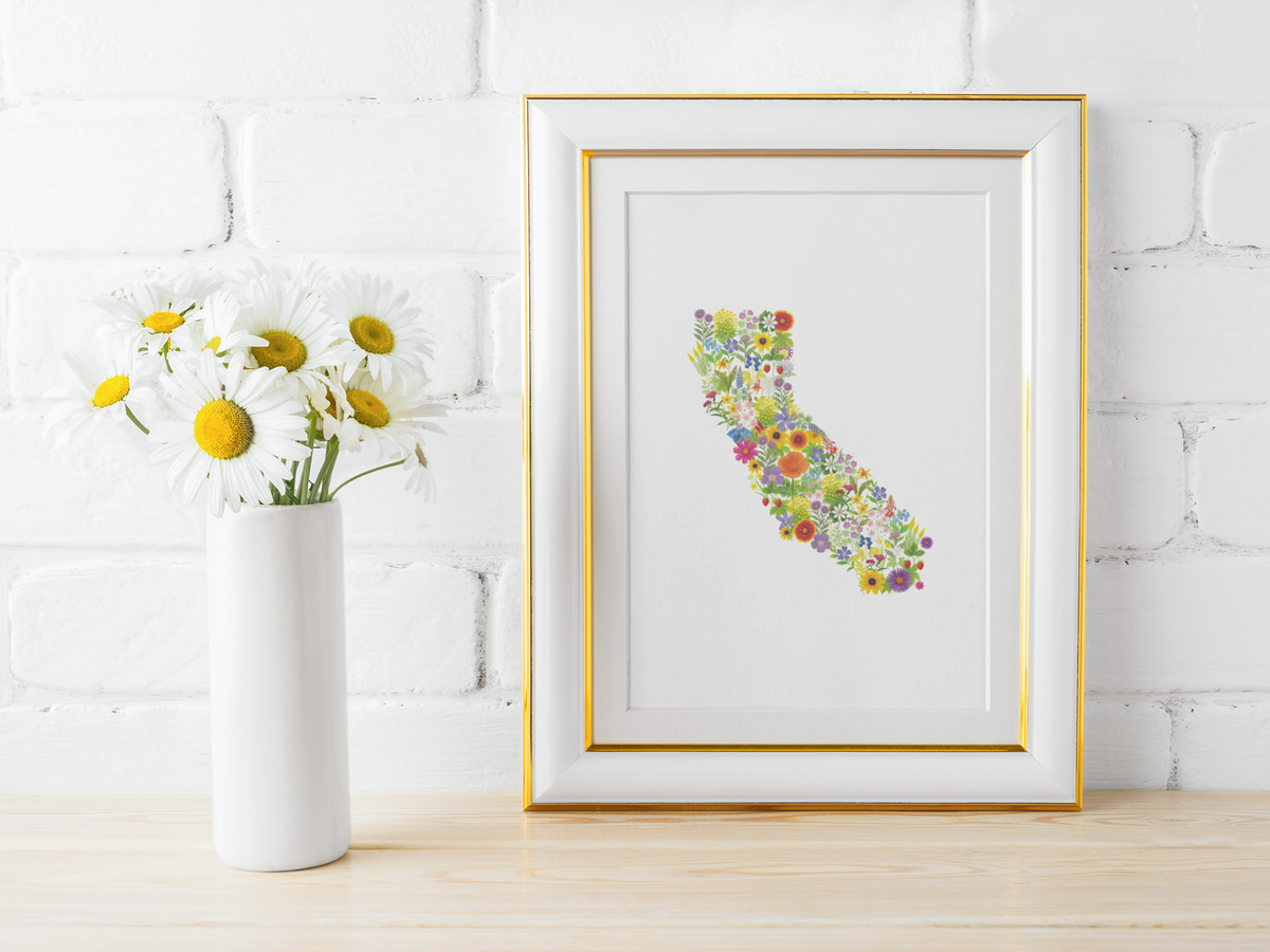 California Wildflower Map